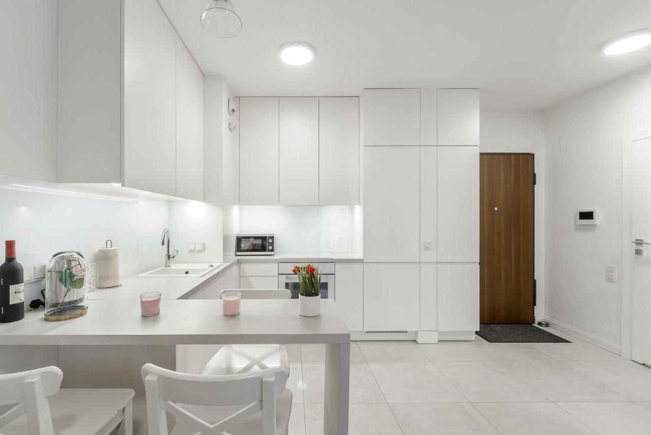 Luxury Apartment On Grzybowska Street Βαρσοβία Εξωτερικό φωτογραφία